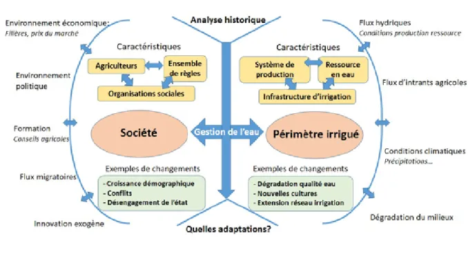 Figure 2 - Représentation synthétique des interactions au sein d’un système irrigué (réalisé par D