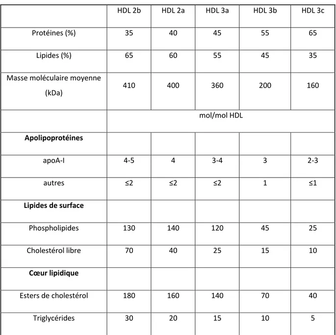 Tableau 10 : propriétés physico-chimiques des différentes sous-fractions de HDL chez  des sujets normolipémiques sains