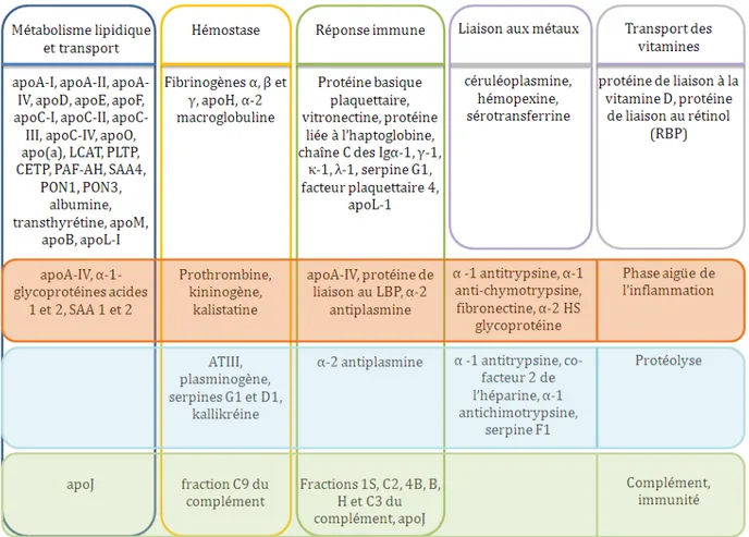 Tableau 12 : Relations fonctionnelles des protéines transportées par les HDL. D’après (Shah 