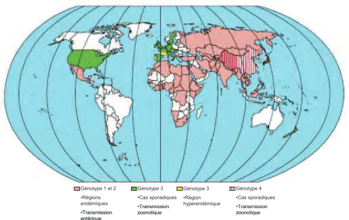 Figure 7 : Répartition géographique des différents génotypes du VHE.  D’après Kamar et al., 2012a