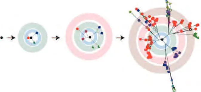 Figure 9 : Représentation schématique de la formation d’une quasi-espèce virale à partir  d’un génome matrice