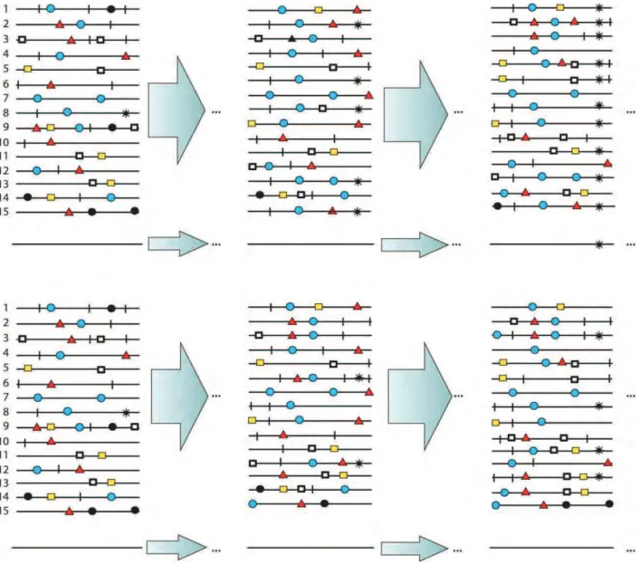 Figure  11 :  Représentation  schématique  de  la  sélection  d’une  mutation  conférant  un  avantage  réplicatif