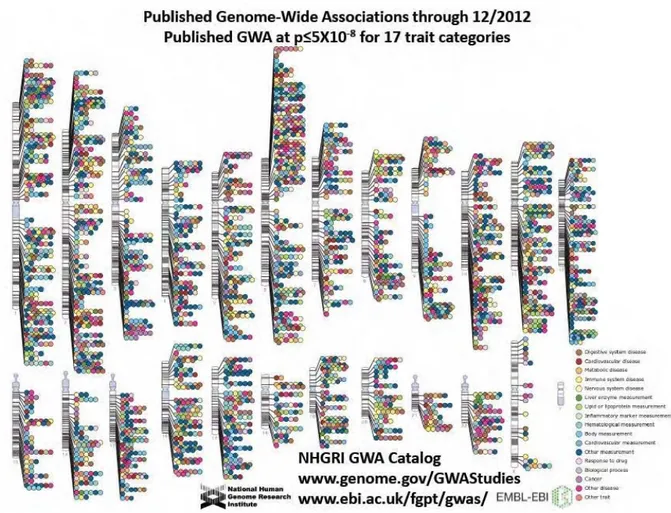Figure 2.9: Published genome-wide associations at stringent significance criteria as of December  2012