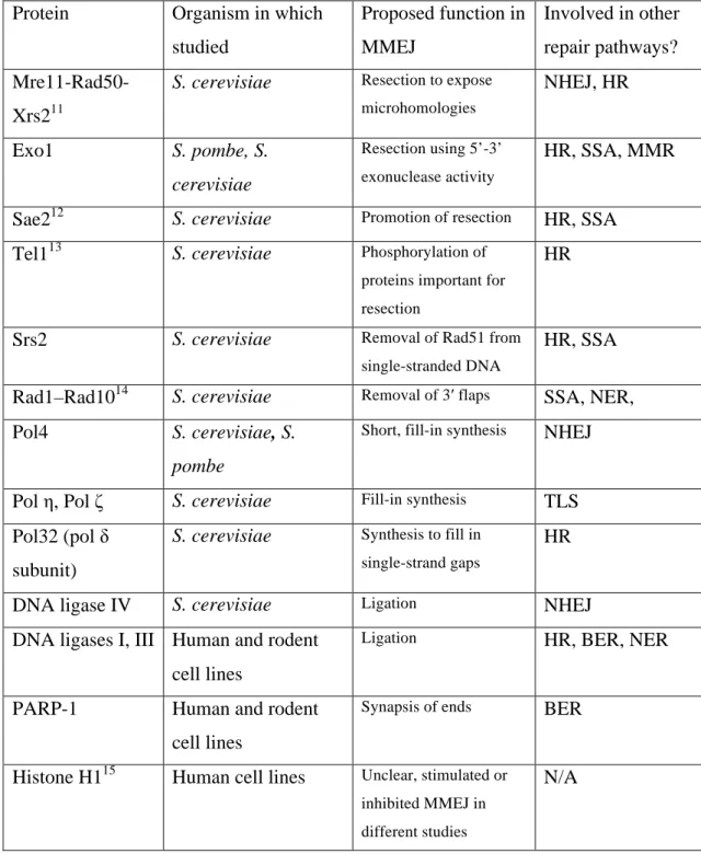 Table I-2. Proteins involved in the mechanism or regulation of MMEJ 10