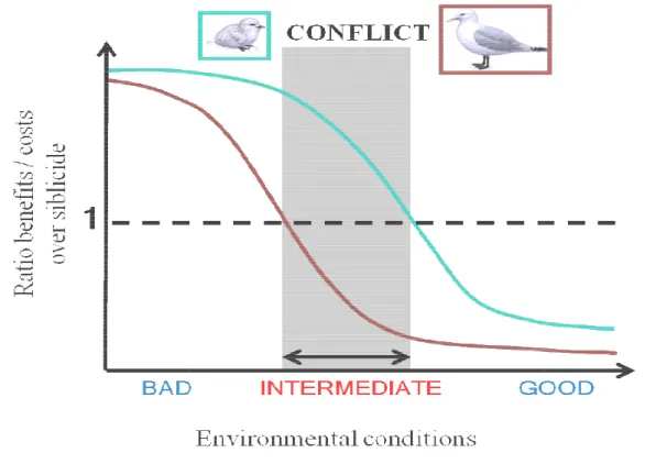 Figure 2. Ratio benefits on costs
