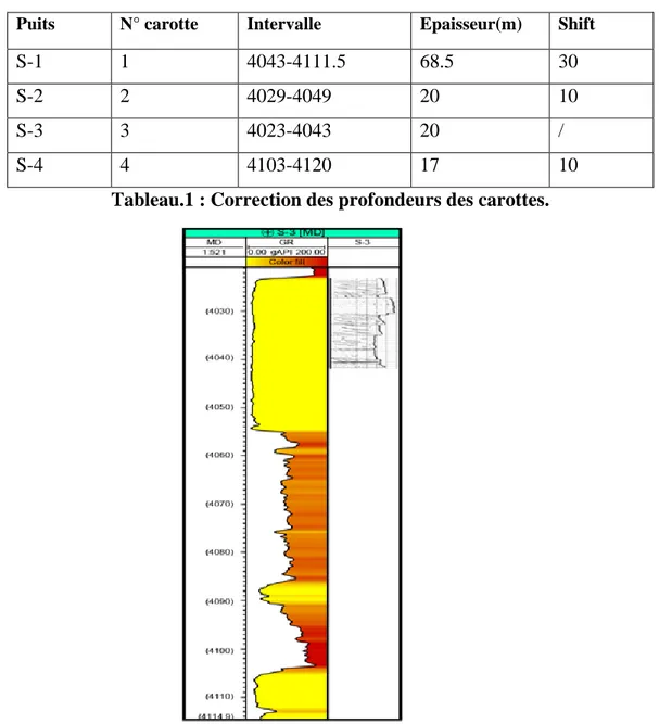 Figure  n°10 : Exemple de carotte calibrée par rapport au Gamma Ray.