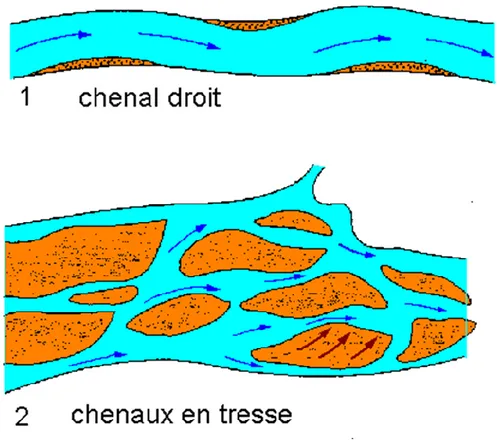 Figure  n°13 : Principaux types de barres fluviatiles, (1) chenal droit, (2) chenaux en tresse.