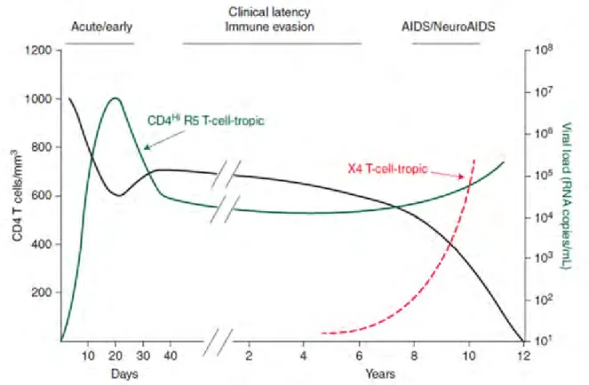 Figure 17 Histoire naturelle de l’infection au VIH-1.  