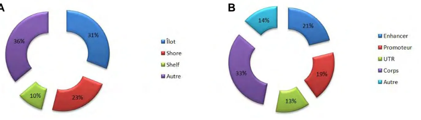 Figure 3 : Répartition sur le génome des sondes de l’Infinium Methylation 450K.  