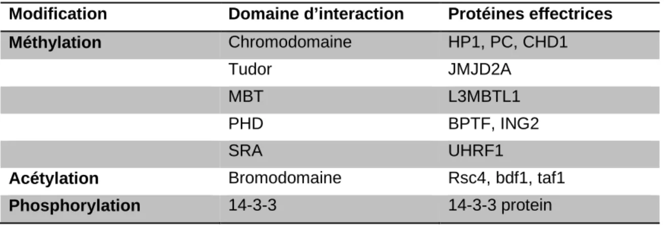 Tableau 2 : Protéines effectrices reconnaissant les modifications des histones. 