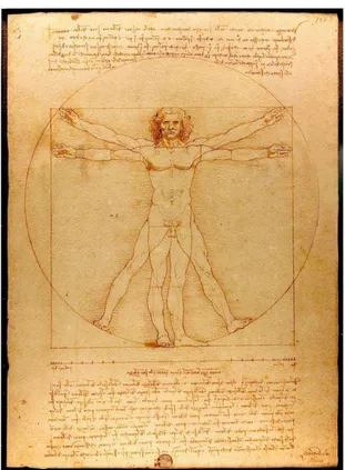 Figure 1 L'Homme de Vitruve de Léonard de Vinci 