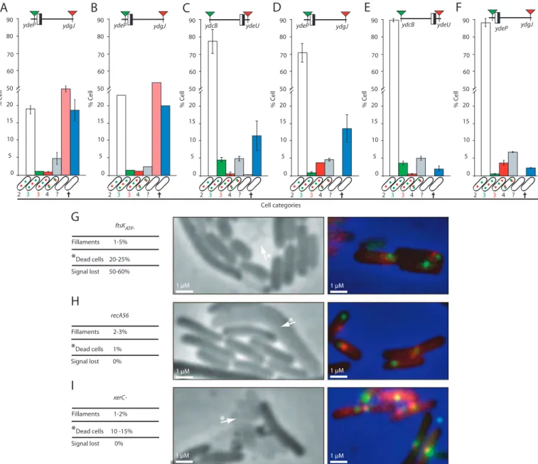 Fig. S6. Order of segregation of ter loci in strains carrying mutations. (A–F) Tagged loci are indicated with their position relative to dif (the black and white box)