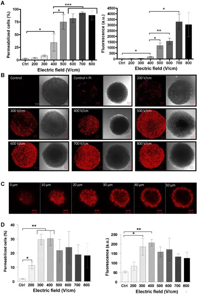 Fig. 1. Electropermeabilization of cells in suspension and in spheroids. (A) HCT116 cell permeabilization assessed with propidium iodide uptake (triplicate, mean ± SEM,