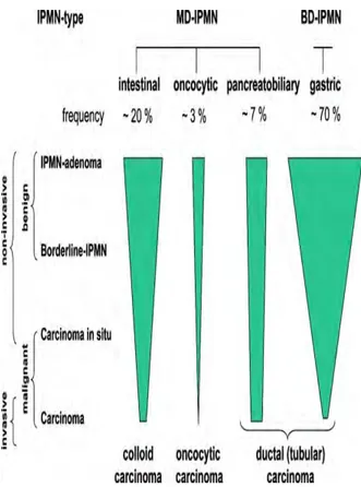 Figure 5 : sous types de TIPMP et risques de dégénérescence Grützmann R et al. The oncologist 2010;15:1294‐1309   C