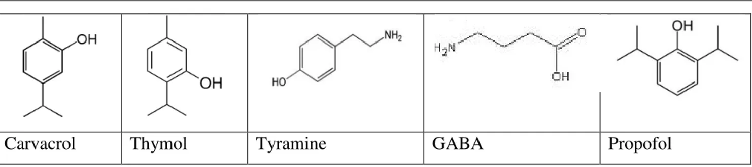 Figure 13 : Les différentes molécules présentant une structure proche du thymol. 