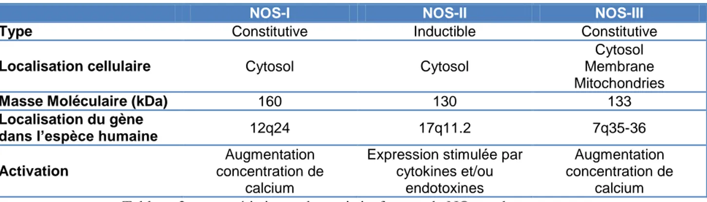 Tableau 2 : caractéristiques des trois isoformes de NO-synthases 