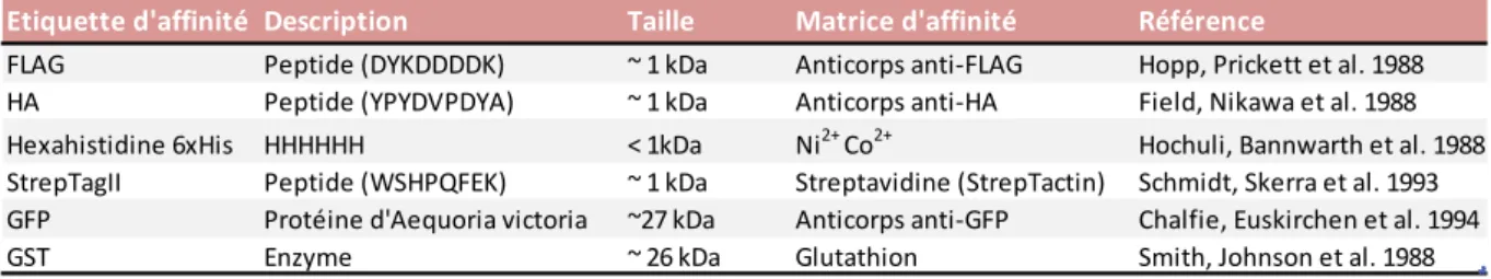 Table  1 :  Exemples  d’étiquettes  d’affinité  couramment  utilisées  pour  la  purification  de  complexes protéiques