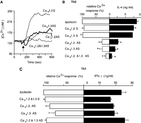 Figure 4. Ca v 1AS reduce the TCR-dependent Ca 21