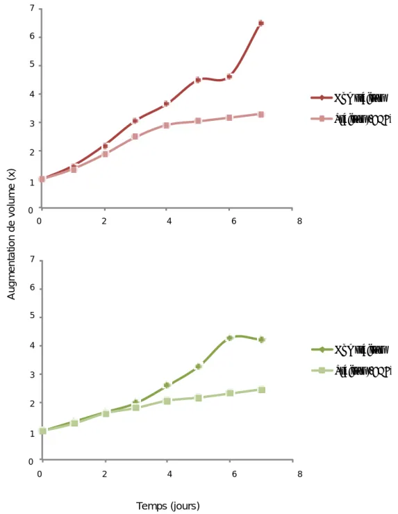 Figure 26 : Evolu on  de  la croissance des sphéroides Capan‐2 après la  priva on en EGF 