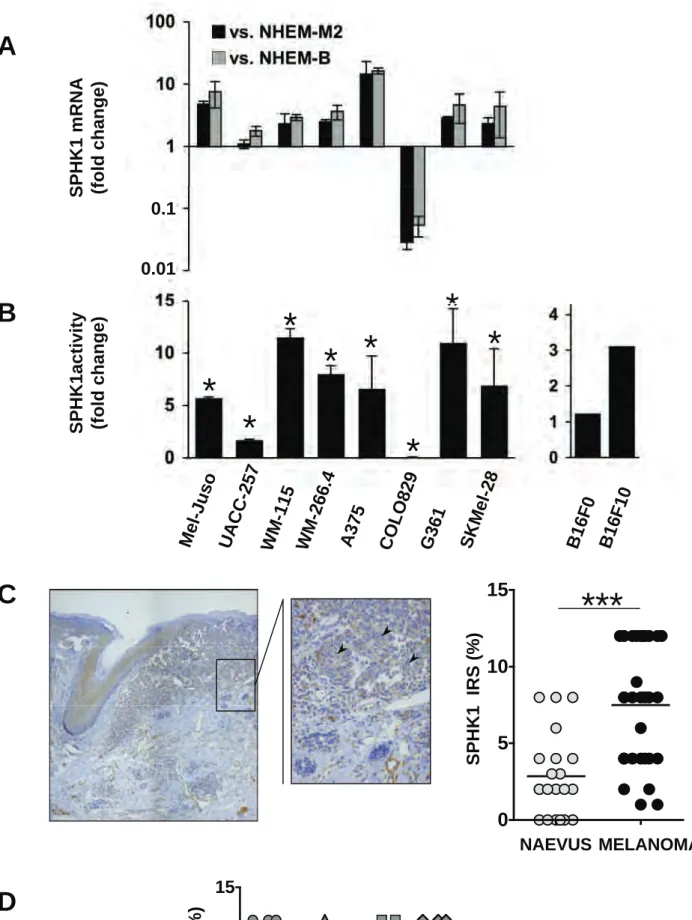 Figure 1 Albinet et al.