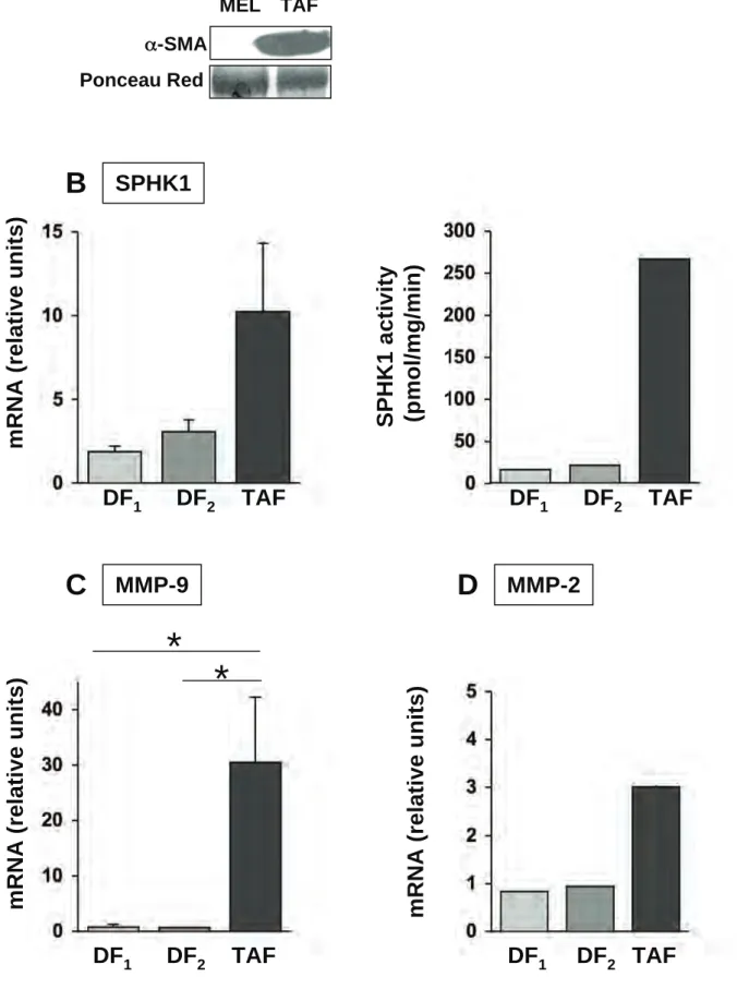 Figure S3 Albinet et al.mRNA (relative units)mRNA (relative units)SPHK1MMP-9MMP-2SPHK1 activity(pmol/mg/min)mRNA (relative units)**DF1DF2TAF DF1DF2TAF DF1DF2TAF DF1DF2TAF BCDA!-SMATAFMELPonceau Red
