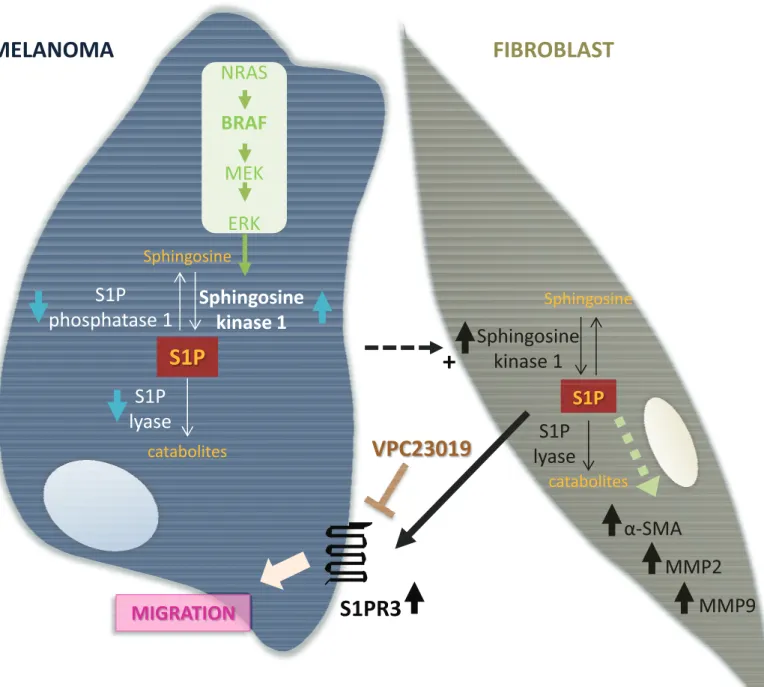 Figure S4 Albinet et al.