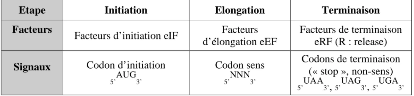 Tableau 1 : Les différentes étapes, facteurs et signaux de la traduction 