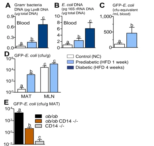 Figure  S2.  High-fat  feeding  increases  the  early  onset  translocation  of  gram-negative  bacteria  from  intestine  to  blood  and  mesenteric  adipose  tissue  (MAT)