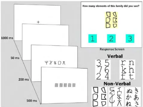 Figure 17 : Schéma illustrant la procédure de la tâche de catégorisation visuelle ainsi que les stimuli  utilisés (tiré de Lobier et al