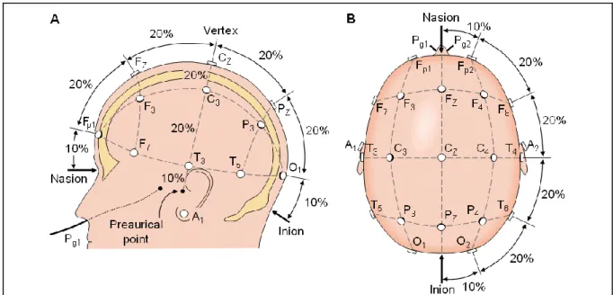 Figure I-7 : Placement et noms standards des électrodes EEG selon le système international 10-20
