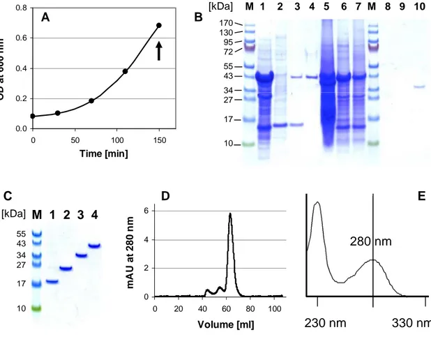 Fig.  1.3.  Summary  of  the  major  purification  steps  and  preliminary  protein  analyses