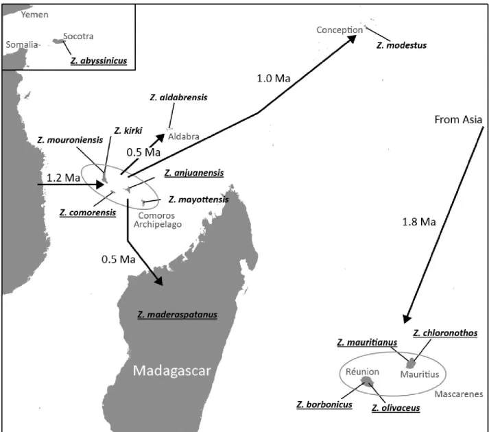 Figure 1.  Distribution of sampled species of  Zosterops in the South-Western Indian Ocean