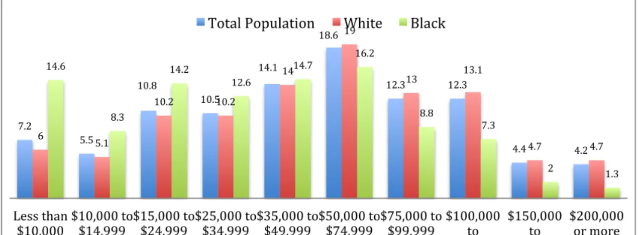 Diagram 8 Income and Benefits by Race, 2010  219