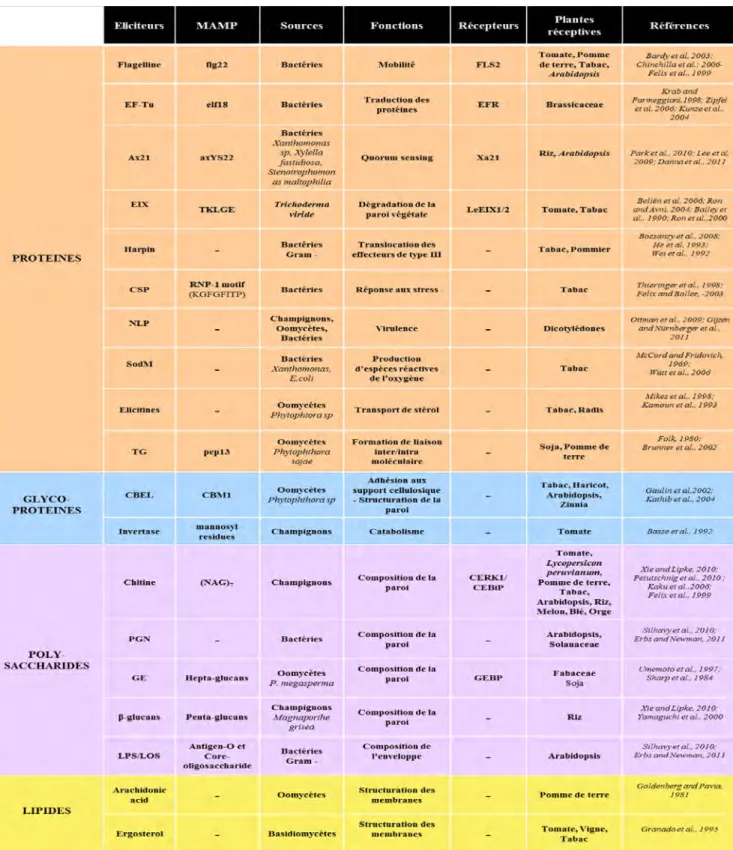 Tableau I. Classification des éliciteurs du non-soi  
