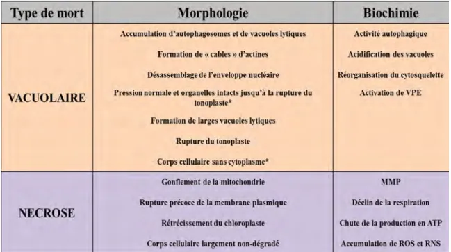 Tableau 2. Classification de la mort cellulaire végétale 