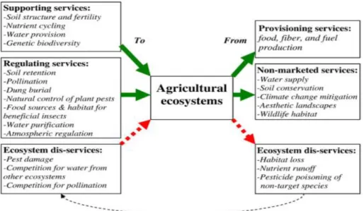 Figure 2: La relation des exploitations agricoles avec les écosystèmes 