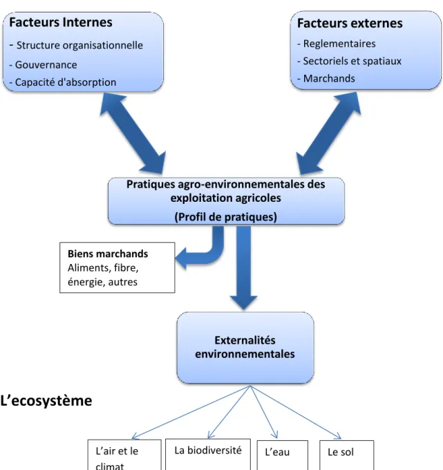 Figure 3: Le cadre analytique des relations entre les formes d’organisaions des  exploitations agricoles et la performance environnementale