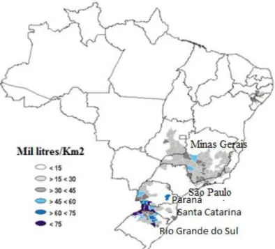 Figure 6: Concentration de la production laitière par microrégion au Brésil 