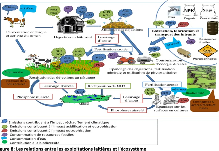 Figure 8: Les relations entre les exploitations laitières et l'écosystème 
