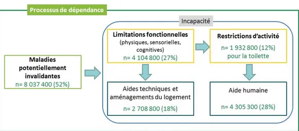 Graphique  1  •  Processus  de  dépendance  et  nombre  de  personnes  âgées  concernées en 2014 