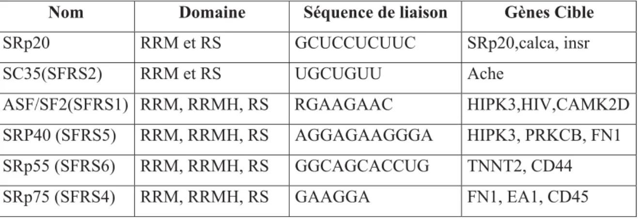 Table 9 : Exemples de protéines SR avec les caractéristiques et séquences de liaison. (Pour revue  Chen et Manley ; 2009)