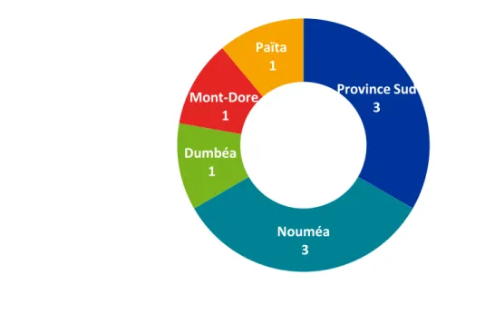 Figure 7 : Composition du Comité Syndical du SMTU 