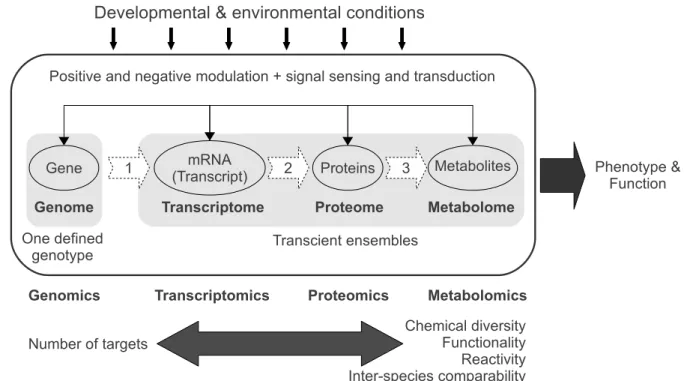 Figure 1.1: Scheme of the cascade of biomolecular processes that link genotype to phe- phe-notype (modiﬁed after Weckwerth (2003), Goodacre (2005) and Goodacre (2007))