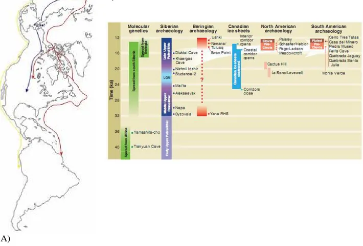 Figure 18. A) The three hypothesise routes for the entry into the Americas (O’Rourke and Raff, 2010)