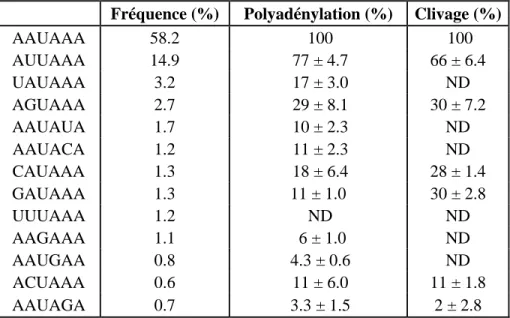 Tableau 1: Efficacité de maturation en 3’ associée aux différents signaux de  poly(A)