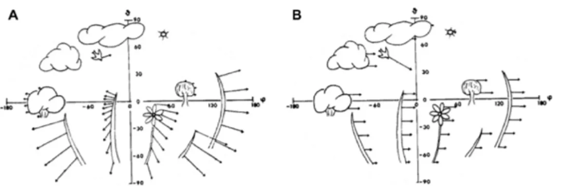 Figure 1.3: Illustration de la structure du flux optique selon le type de mouvement du sujet