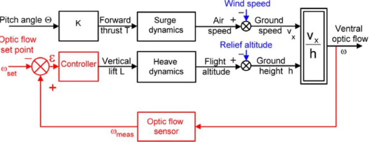 Figure 1.13: Boucle visuo-motrice OCTAVE. Le régulateur de flux optique contrôle à chaque instant la poussée verticale de manière à maintenir constant le flux optique ventral mesuré