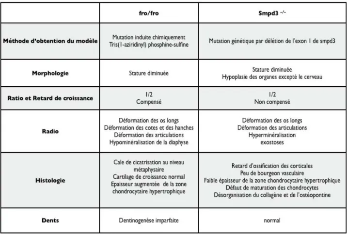 Tableau 3 : Comparaison des phénotypes des souris fro/fro et smpd3 KO. 