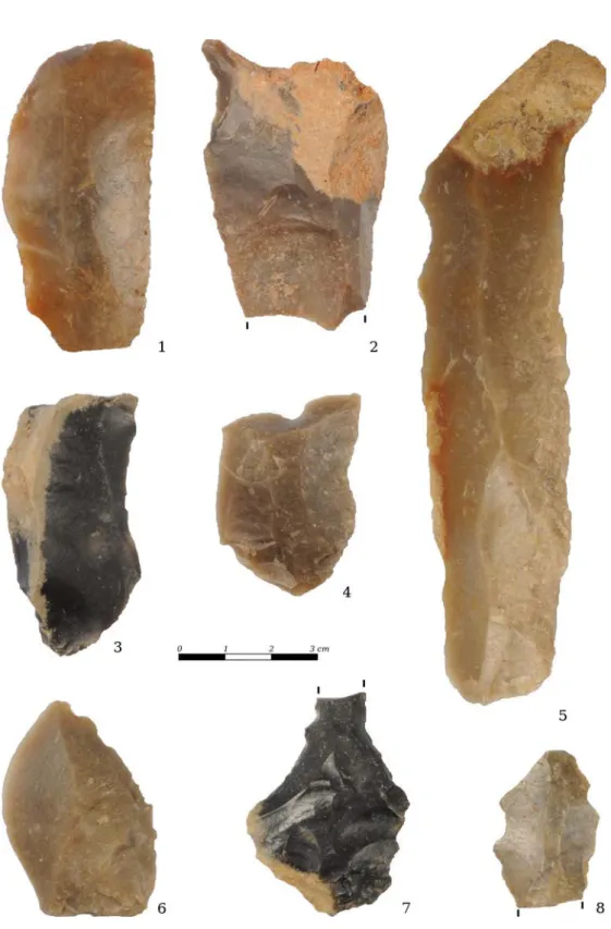 Figure 4.7: Rouffignac, L. 5a. 1, backed knife; 2, borer; 3-4, truncated pieces; 5, retouched blade; 6-8, denticulated pieces.