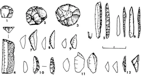 Figure 2.18: Riparo Fredian, layer 4. 1-3) end-scrapers; 4) truncation; 5) backed bladelet; 6) backed point; 7-9, 12) triangles; 10) crescent; 11) microburin (after Boschian et al